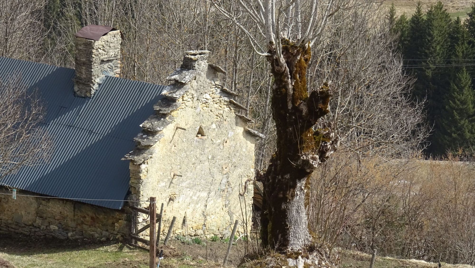 Patrimoine bâti : Pignons en "saut de moineaux"